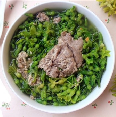 Canh-cua-hoa-ly.jpg