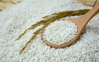 images/Foods/Cereals/Gao-nep-thuong.jpg
