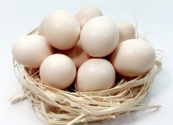 images/Foods/Eggs/Trung-ga-ta.jpg