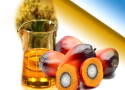 images/Foods/Fats/Dau-co.jpg