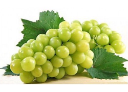 images/Foods/Fruits/Nho-chua.png