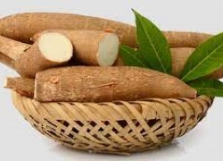 images/Foods/Roots/Cu-san.jpg