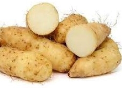 images/Foods/Roots/Cu-tu.jpg