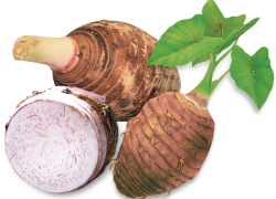images/Foods/Roots/Khoai-mon.png