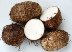 images/Foods/Roots/Khoai-so.jpg