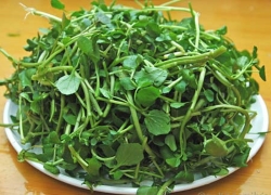 images/Foods/Vegetables/Cai-soong.jpg