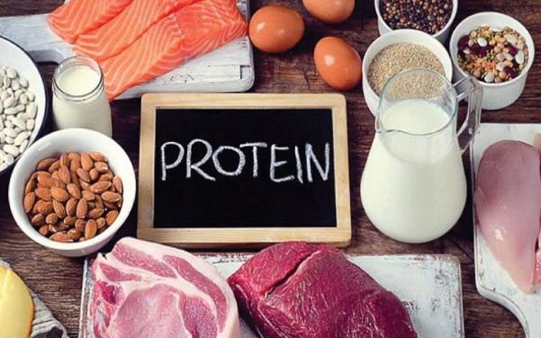 Protein.jpg